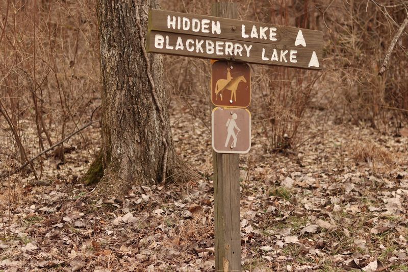 Horseback Riding Trails