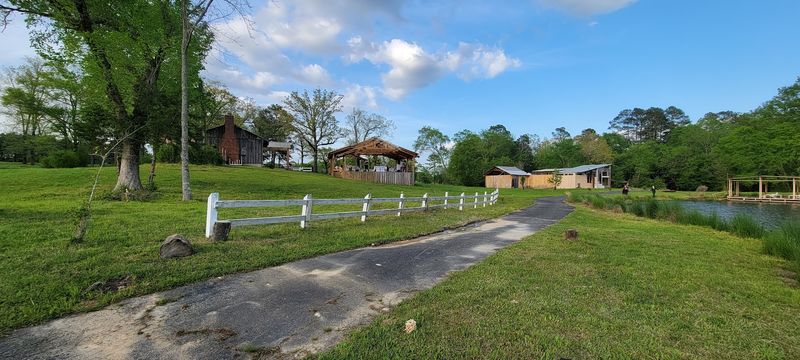 Summer Bloom Season At Its Most Magical