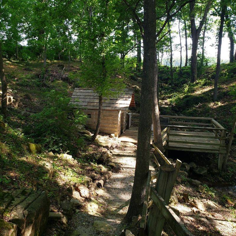 Rustic Paths And Summer Shade
