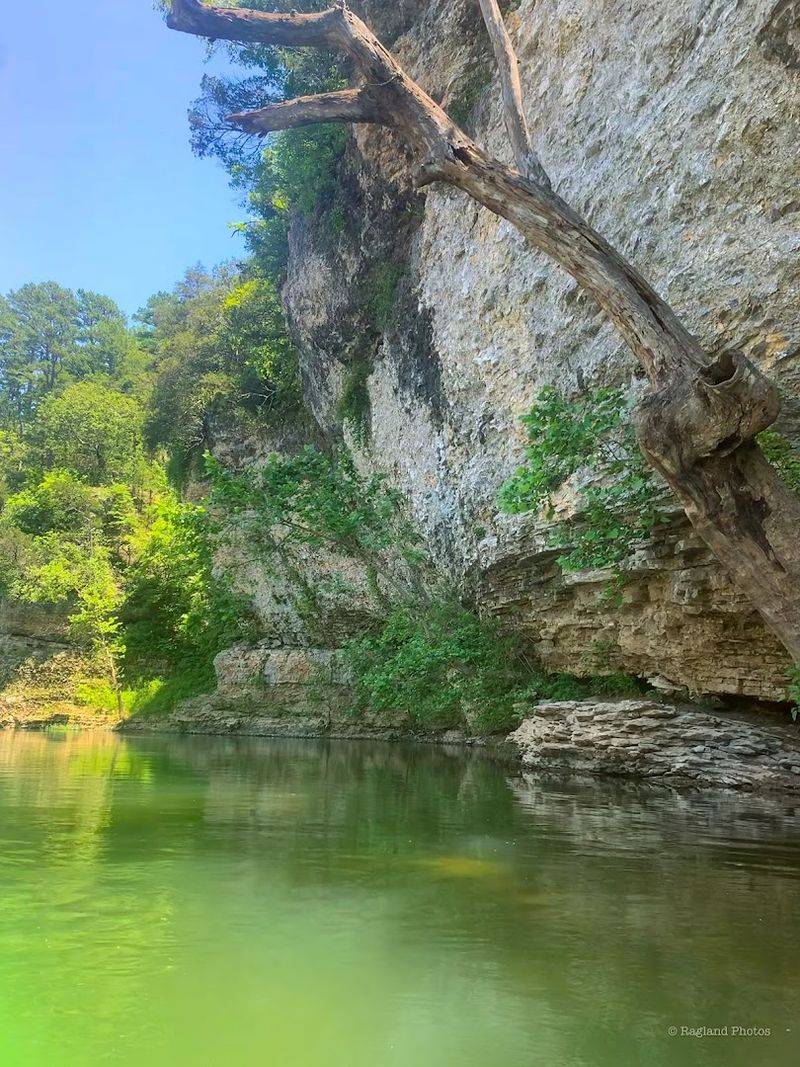 Rustic Riverfront Camping Views