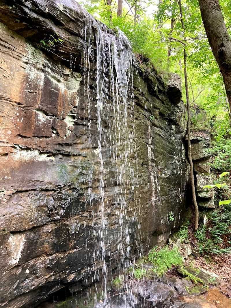 Family-Friendly Fun In The Great Outdoors