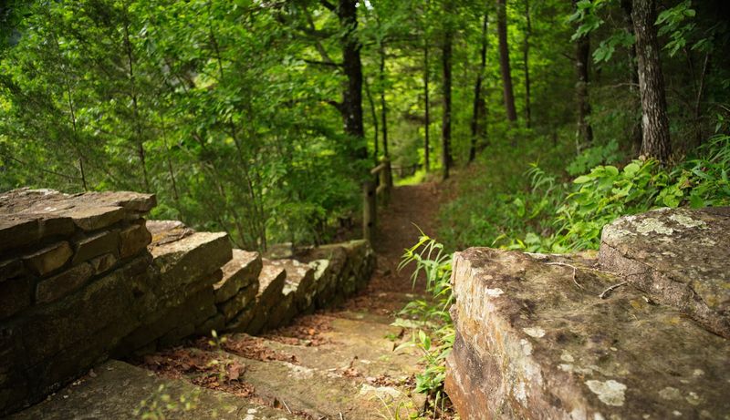 Rustic Stonework In The Forest