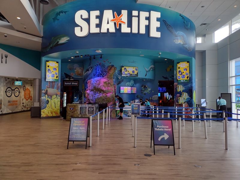 SEA LIFE Orlando Aquarium, Orlando SEA LIFE Orlando Aquarium, Orlando