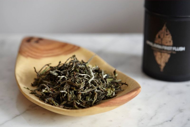 SIP: Upton Tea Imports First Flush Darjeeling