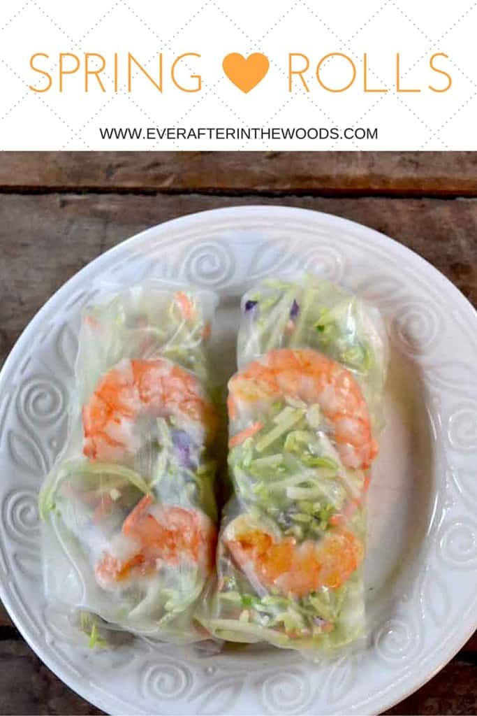 SPRINGROLLS-PIN