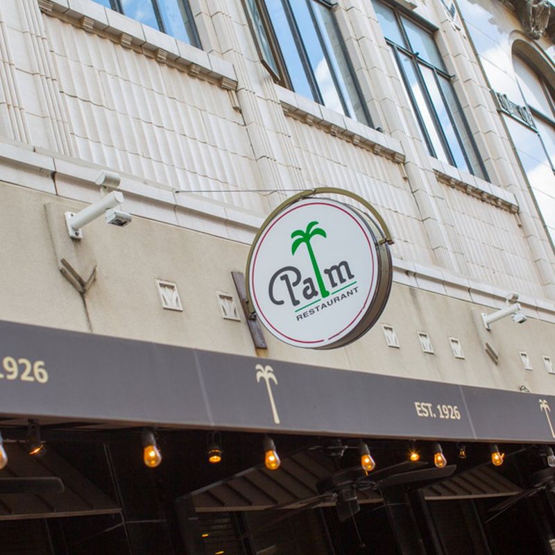The Palm (Hit)
