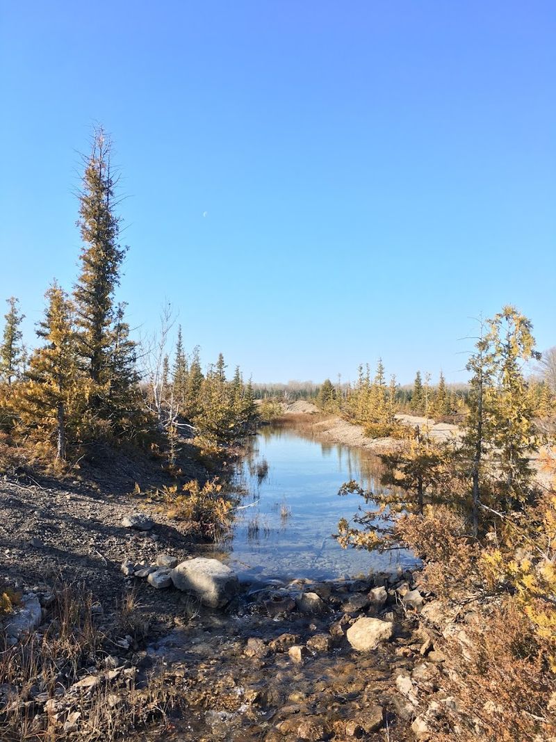 Rockport Recreation Area, Alpena Area