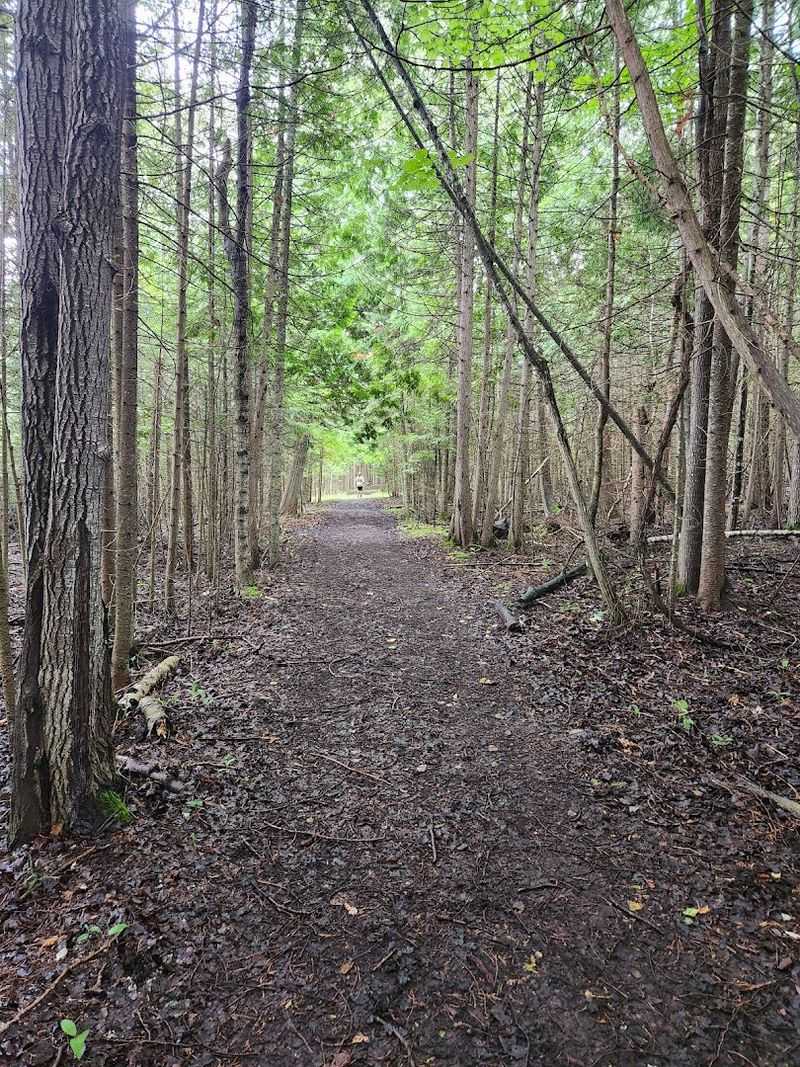 Sinkhole Pathway, Onaway