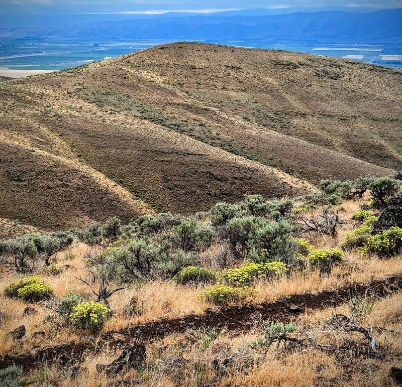 Saddle Mountain Management Area, US Department of the Interior