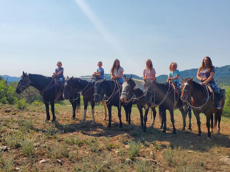 Saddle Up For A Summer Trail Ride