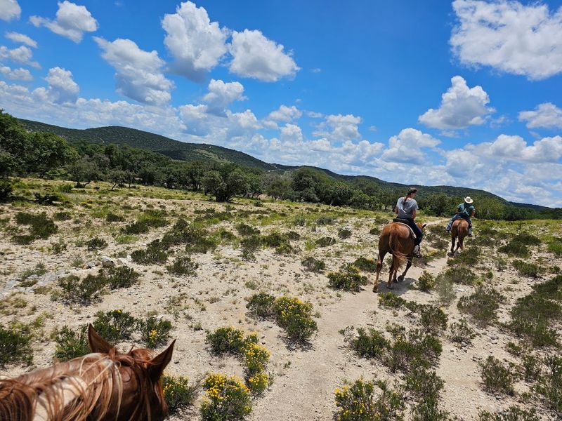 Saddle Up For Scenic Trail Rides Across 725 Acres