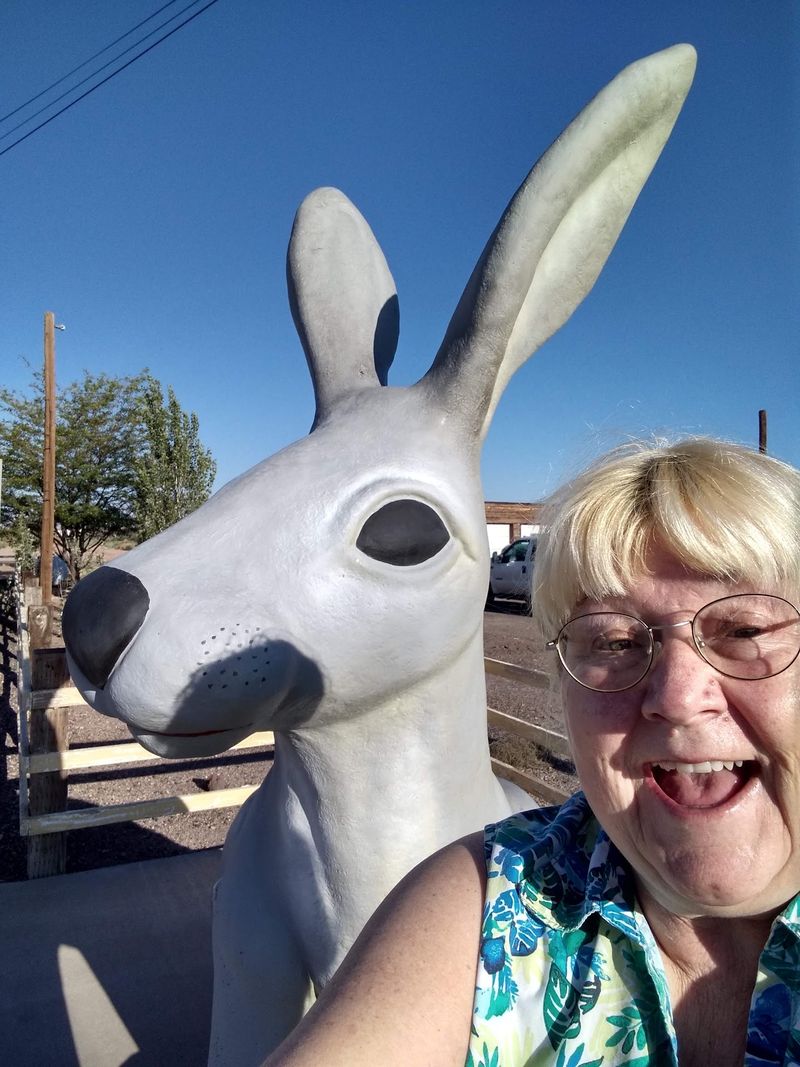 Saddle Up On A Rabbit Built For Road Trip Photos Saddle Up On A Rabbit Built For Road Trip Photos