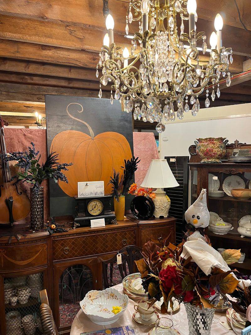 Safe Haven Humane Society's Vintage, Thrift, Antiques Shop, Wells Safe Haven Humane Society's Vintage, Thrift, Antiques Shop, Wells