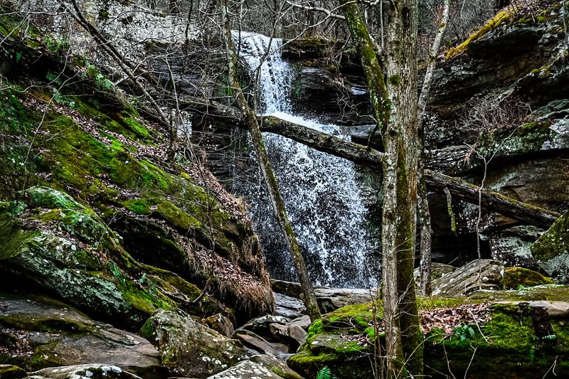 Photography And The Art Of Patience