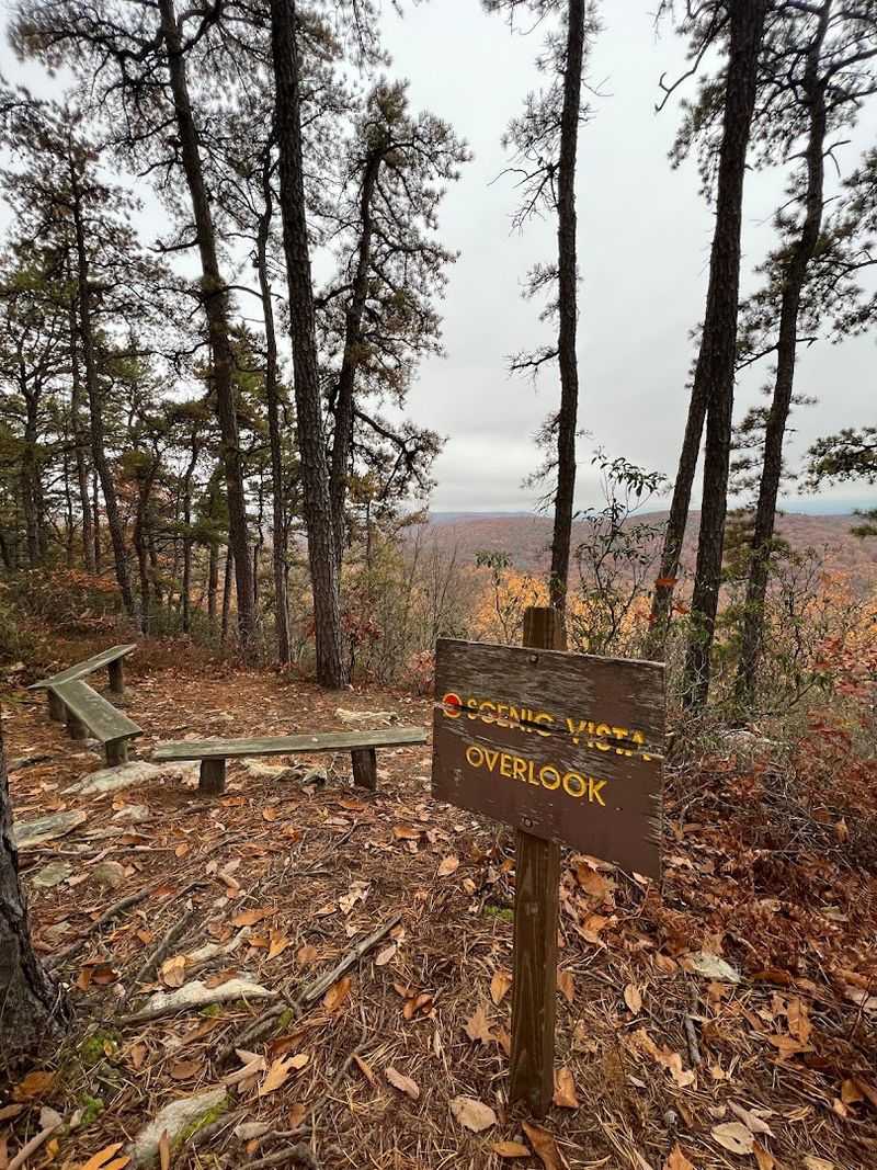 Safety Tips For Hiking Snake Country