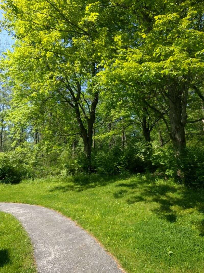 Sagamore Creek Loop at Frazee House Trailhead, Valley View, OH