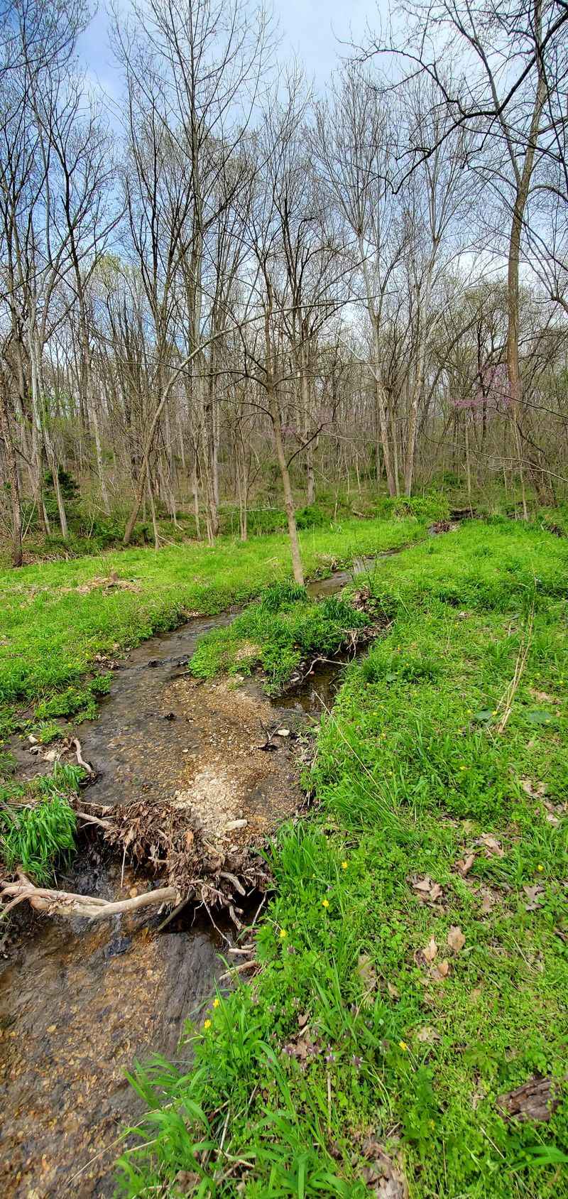 Pleasant Hope Conservation Area, North Of Springfield