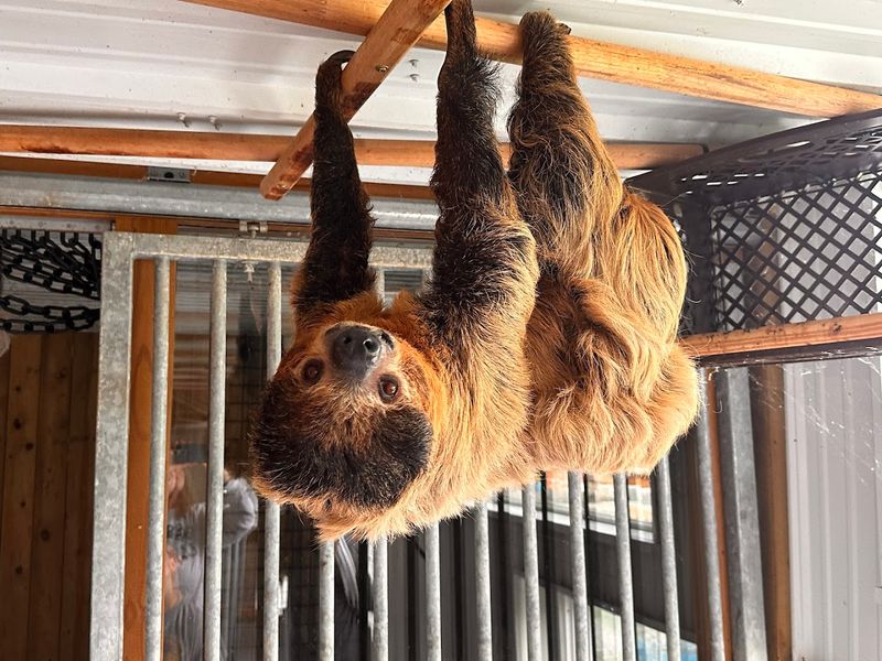 The Creature Conservancy, Ann Arbor