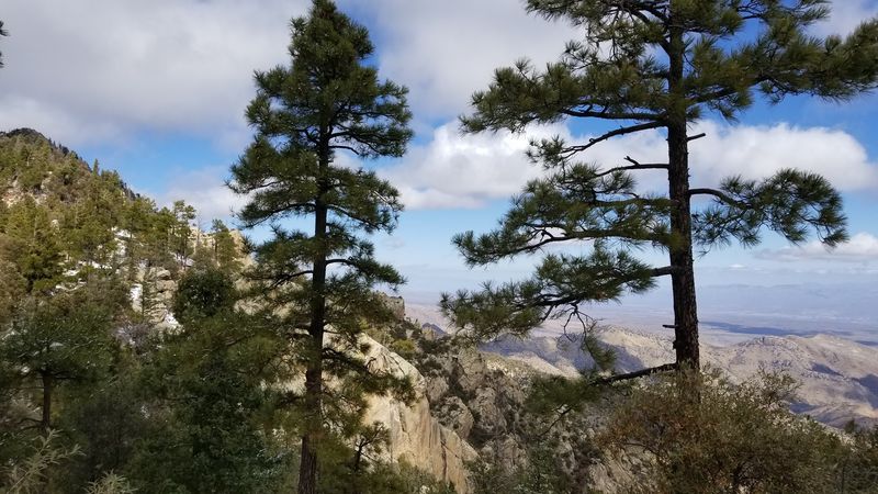 Saguaros To Aspens In About An Hour