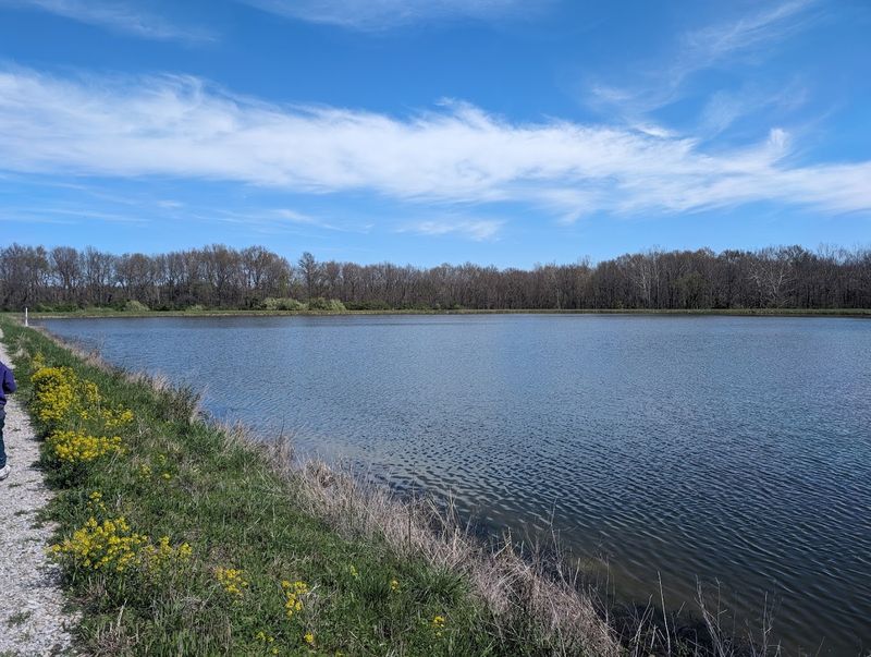 Swimming And The On-Site Pool