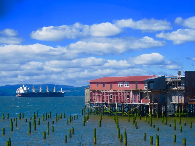 Astoria Sunday Market: Coastal Cornucopia