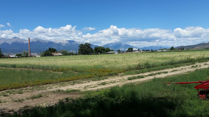 Salida Farmers Market - Salida