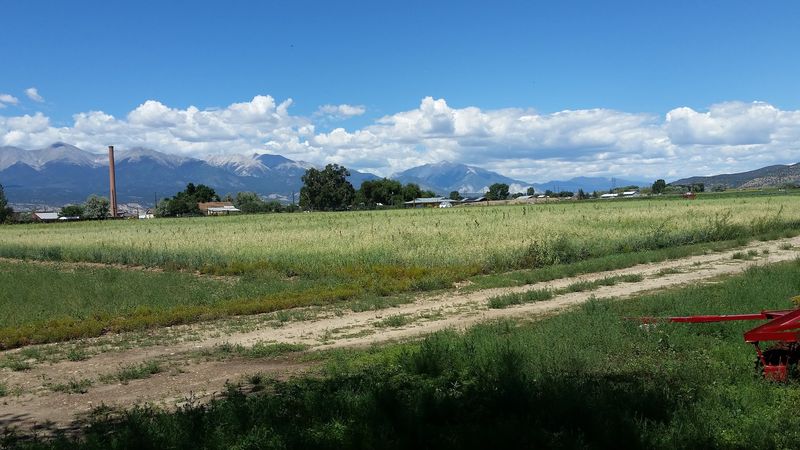 Salida Farmers Market, Salida
