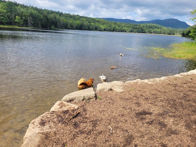 Salmon Pond, Little Long Pond, And Mud Pond, Hancock County, Maine