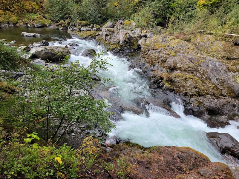 Salmon, Seasons, And What To Watch For
