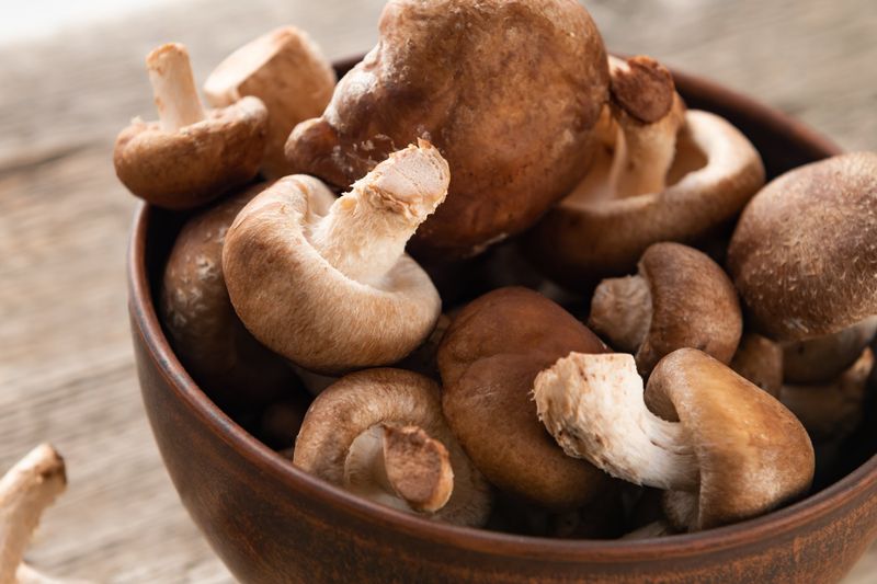 Mushrooms: Meat's Low-Calorie Doppelgänger