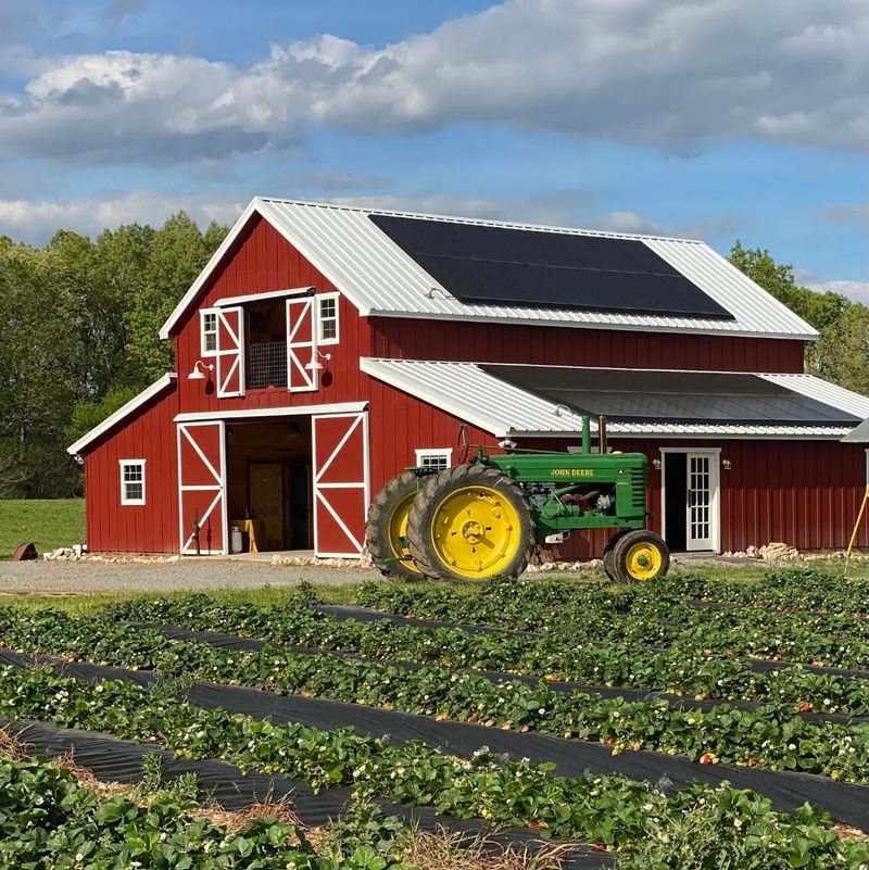 Salt Box Farm, Benton