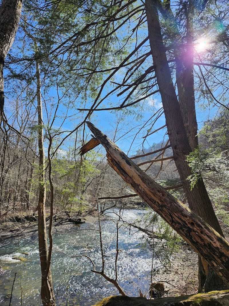 Mohican State Park, Loudonville, Ohio