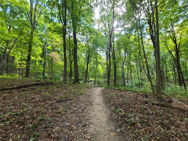 Sugarloaf Mountain Trails, Great Seal State Park