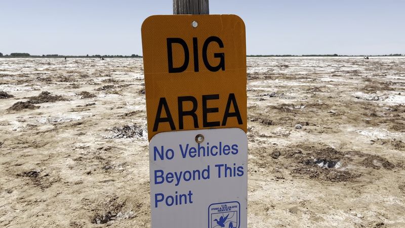 Salt Plains National Wildlife Refuge Selenite Crystal Digging Area
