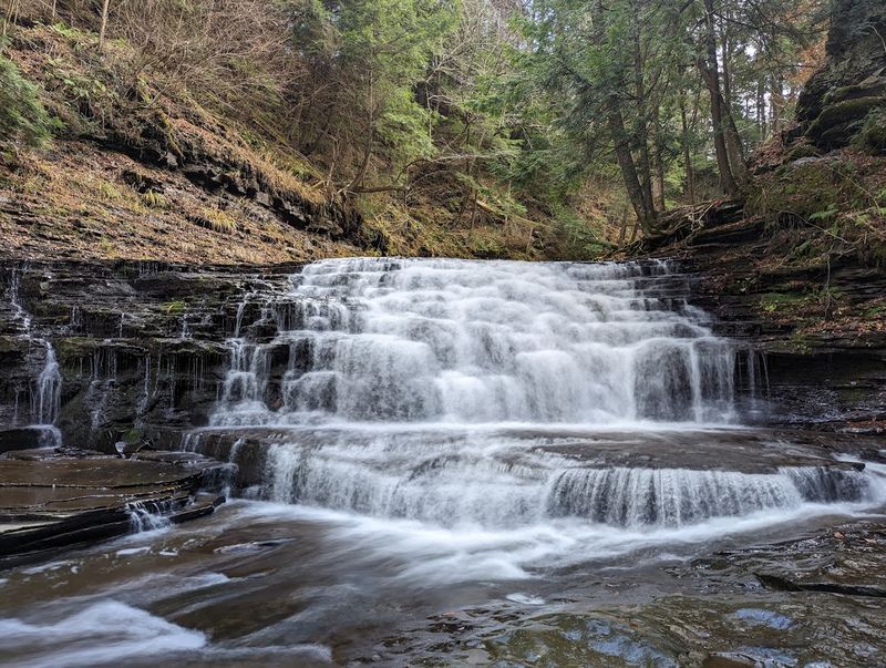 Salt Springs State Park, Montrose, Pennsylvania Salt Springs State Park, Montrose, Pennsylvania
