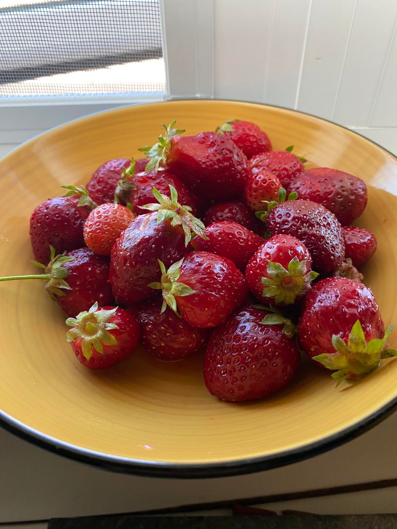 Hood Strawberries