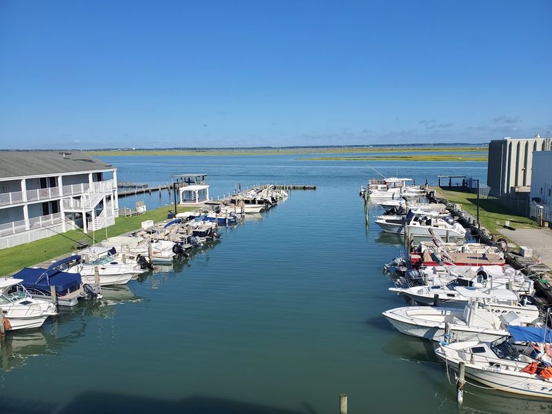 Salty Oysters Put This Island On The Map