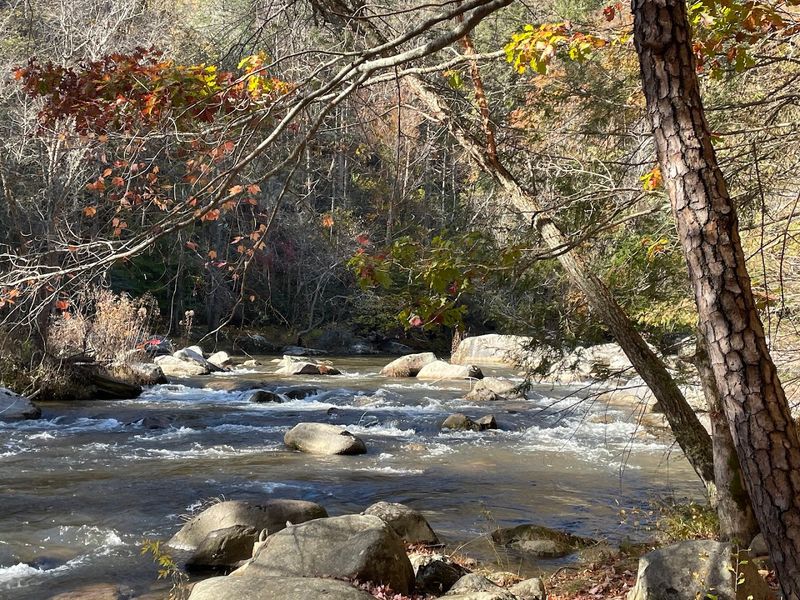 Mountain Trails That Deliver