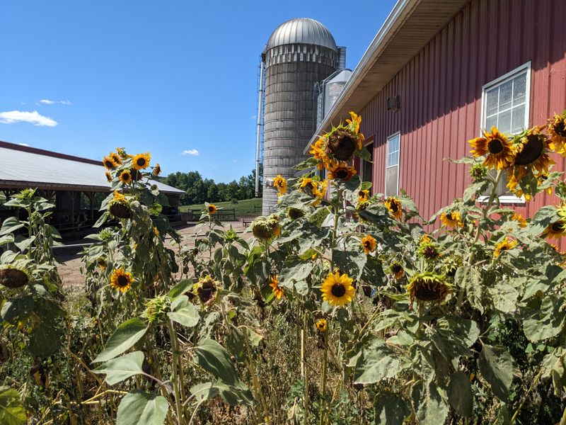 Location Offers Scenic Beauty