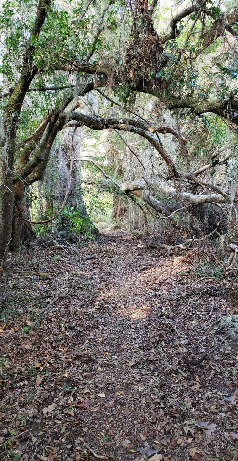 San Felasco Hammock Preserve State Park Equestrian Trailhead, Alachua