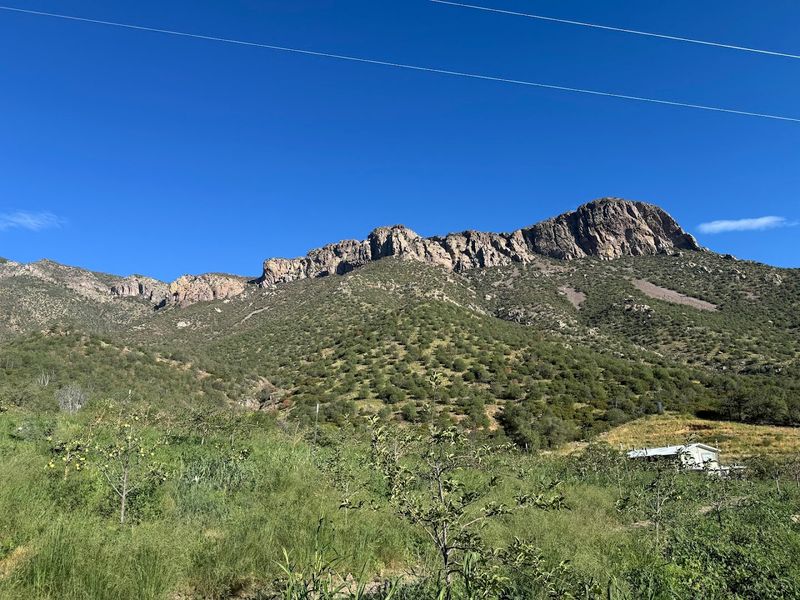 Miller Canyon's High-Elevation Haven