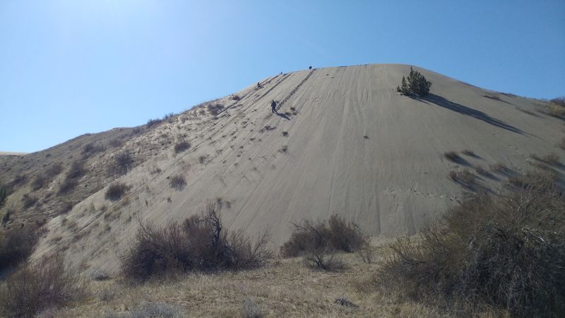 Sand Country on the Edge of the Tri-Cities