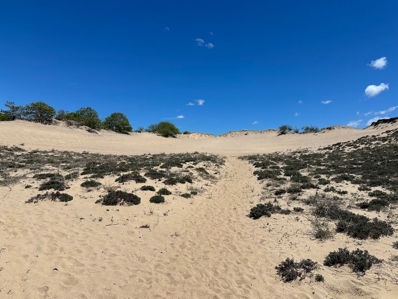 Sand Dunes That Refuse To Sit Still