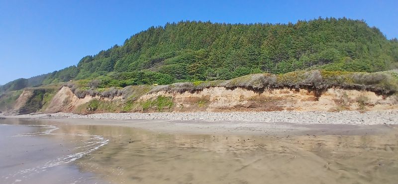 Coastal snacks that taste like victory