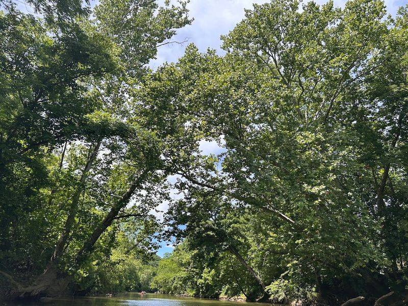 Sandbars And River Surprises