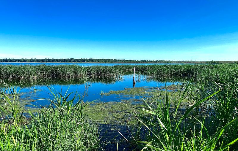 Chautauqua National Wildlife Refuge As Prime Viewing Spot