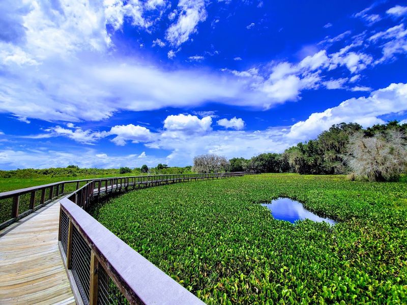 The Observation Tower View Hits Differently In Spring