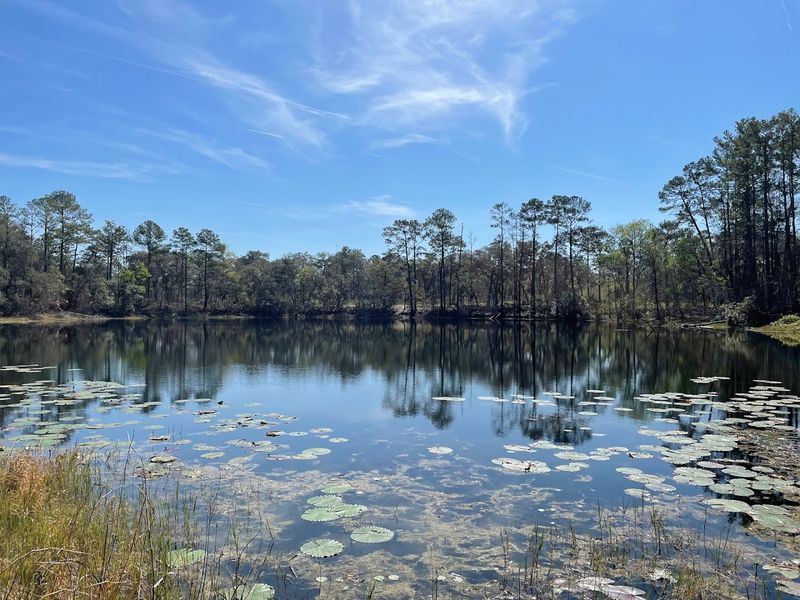 Quiet Mornings And Solitude You Can Hear