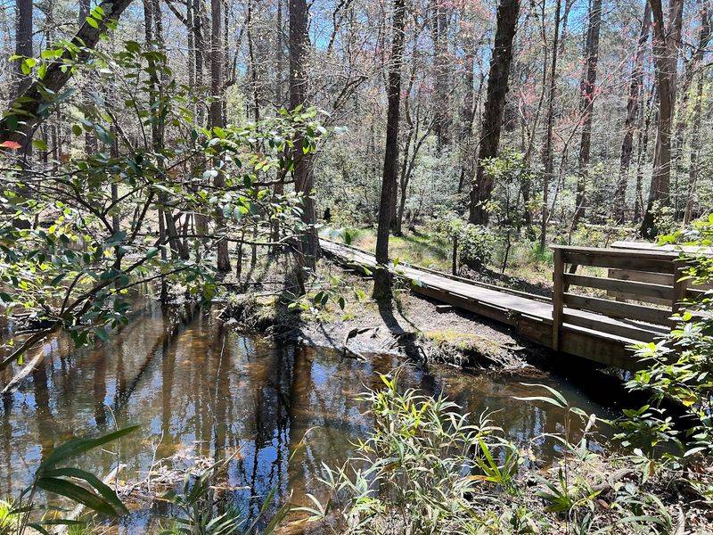 Sandhills Hiking Trail: Two Miles Of Pure Calm