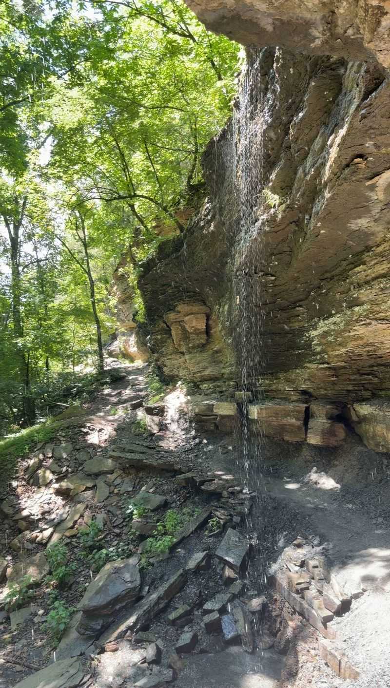 Sandstone Bluffs Rise Beside The Path Sandstone Bluffs Rise Beside The Path